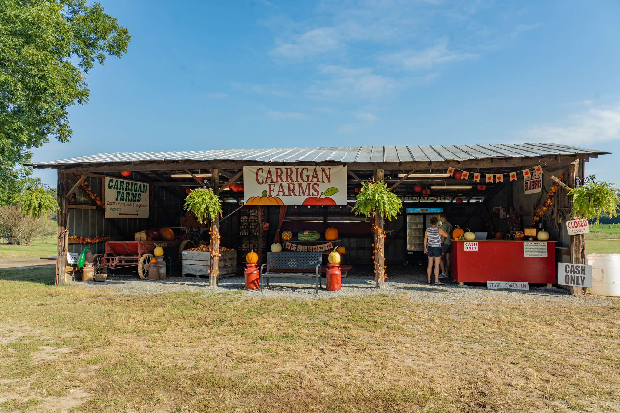 the farm stand at Carrigan Farms