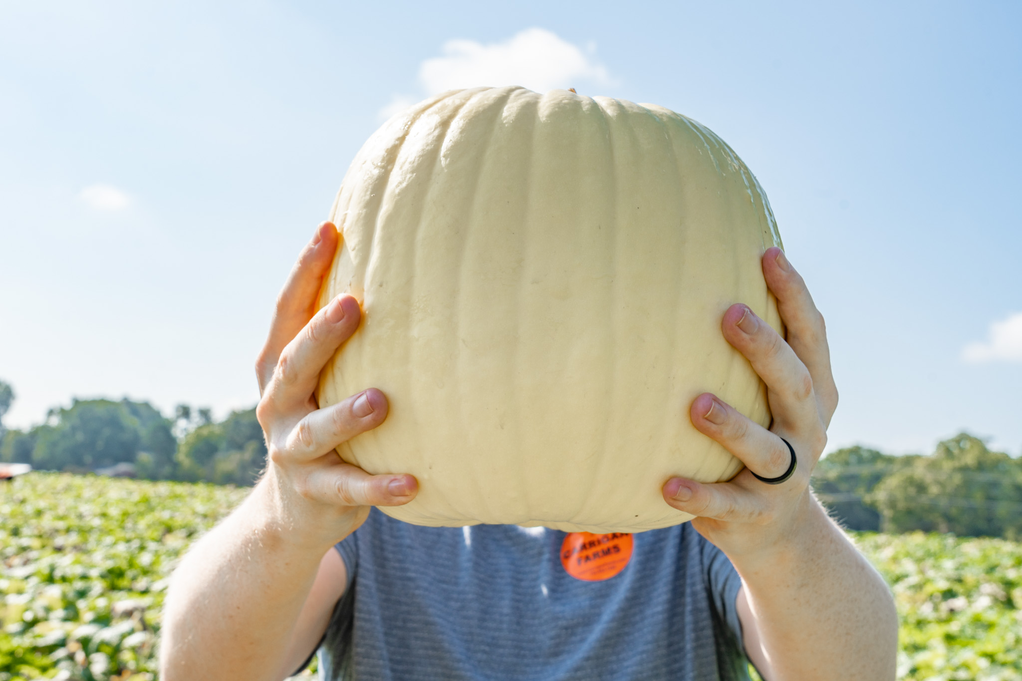 man holding pumpkin at carrigan farms